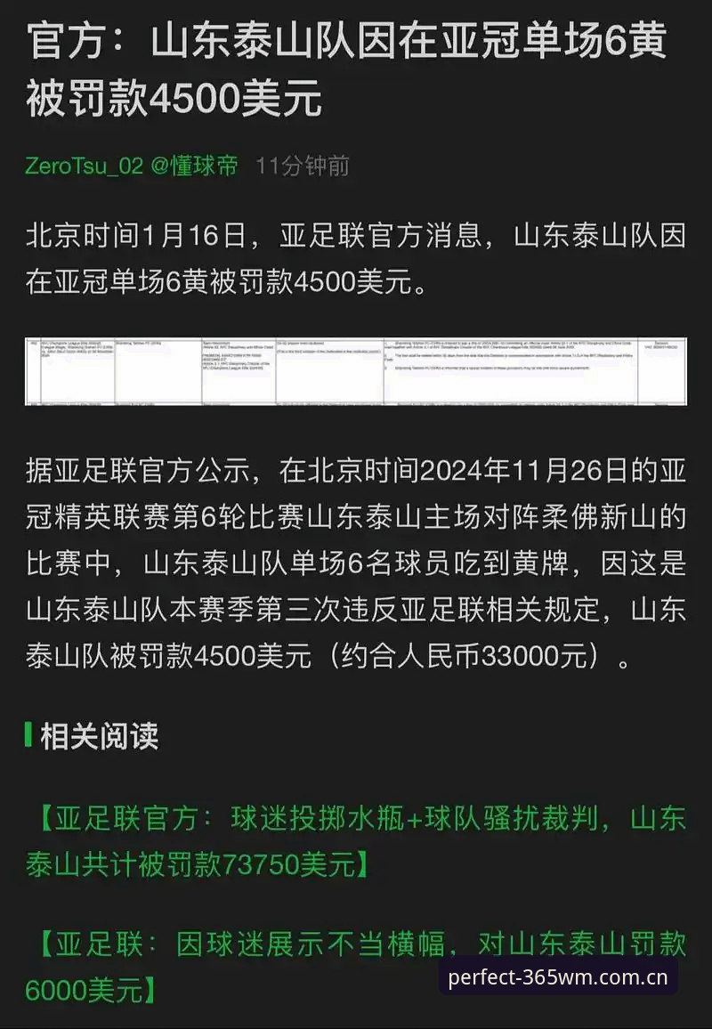 完美体育数字空间下载不了怎么办 足协第三批禁足名单完整解读指南——从处罚看中国足球行业乱象